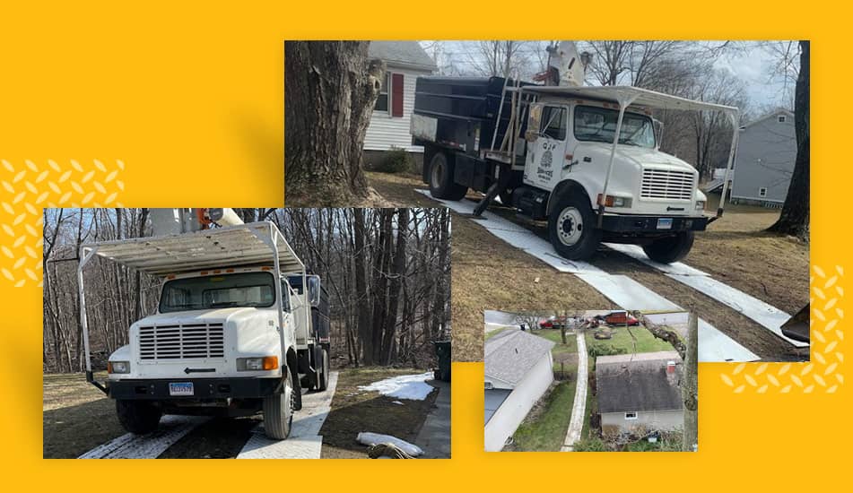 Trucks on Green Pond Mats